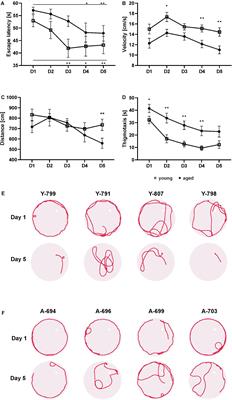 Aged Opossums Show Alterations in Spatial Learning Behavior and Reduced Neurogenesis in the Dentate Gyrus